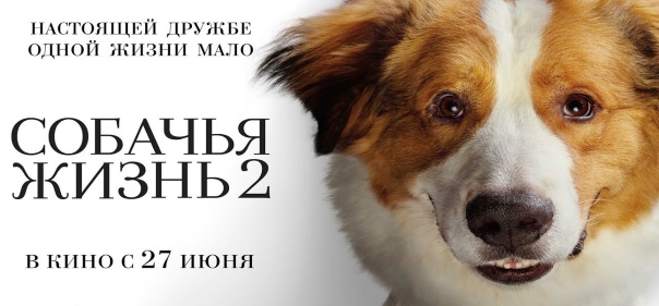 Список лучших фильмов фэнтези про собак: Собачья жизнь 2 (2019)