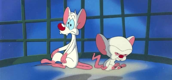 Список лучших мультсериалов про антропоморфных мышей: Пинки и Брейн